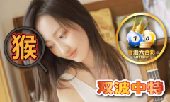澳门状元红2023年资料 